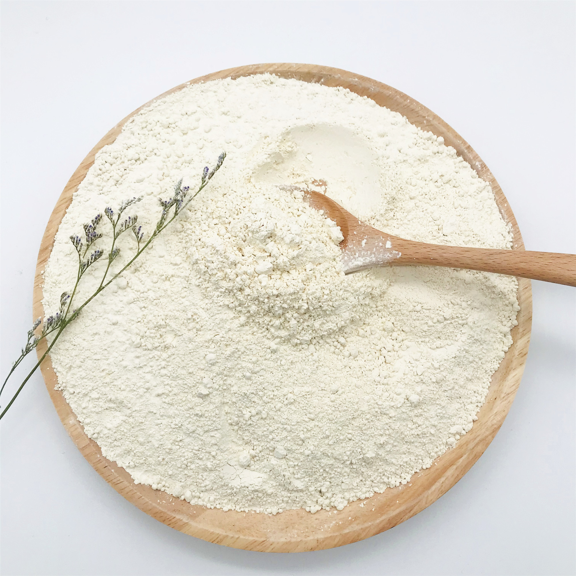 Plant Based Organic Brown Rice Protein with Competitive Price