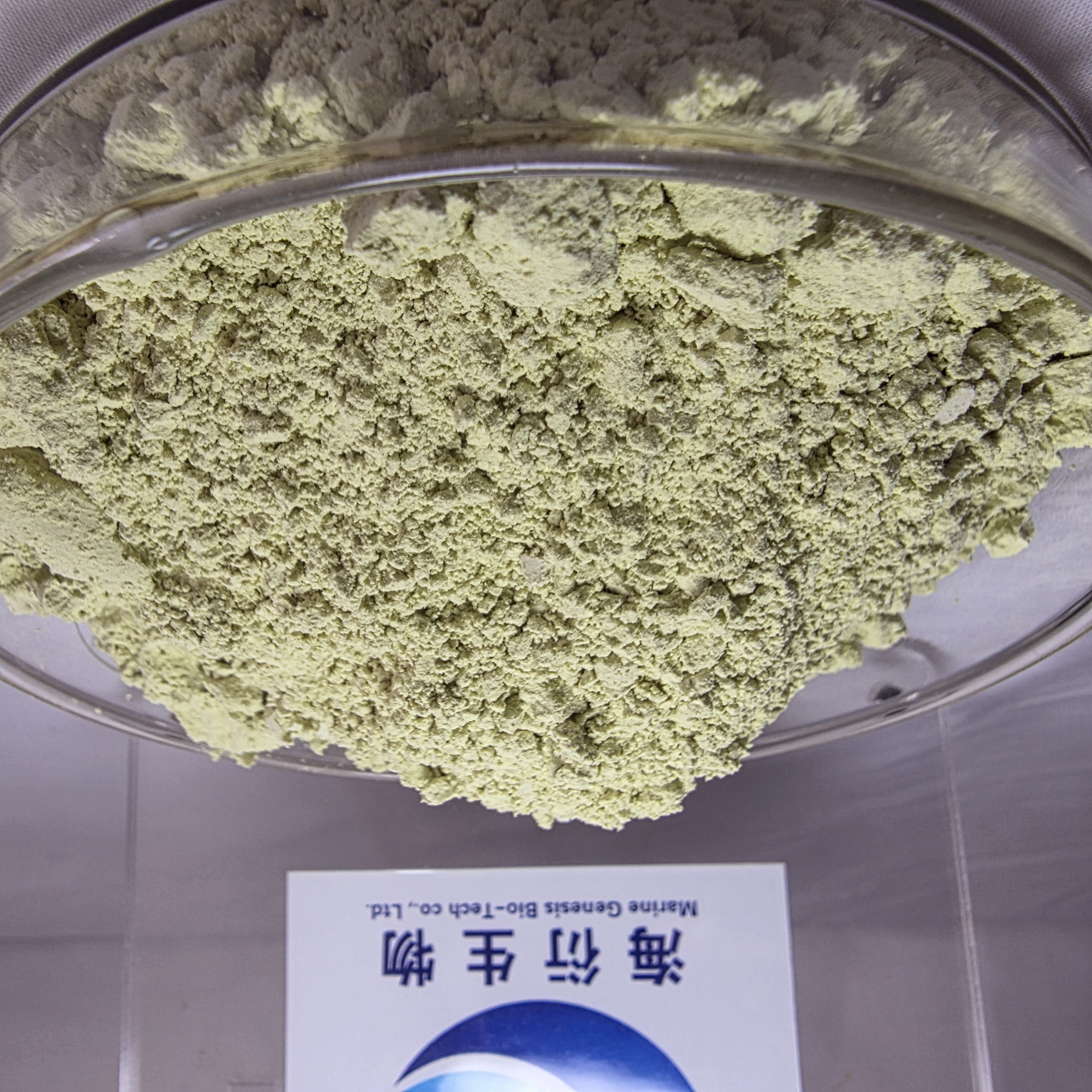 Organic Wild Herbal Extract Pumpkin Seed Protein Powder 60% Health Food Grade Marine Genesis Bio-Tech 2 Years Vacuum Packed Drum