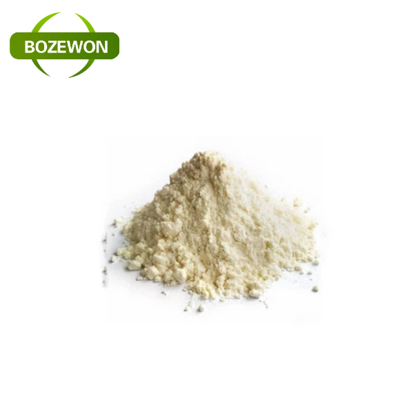 Food Grade Natural 90% Fava Bean Protein Powder