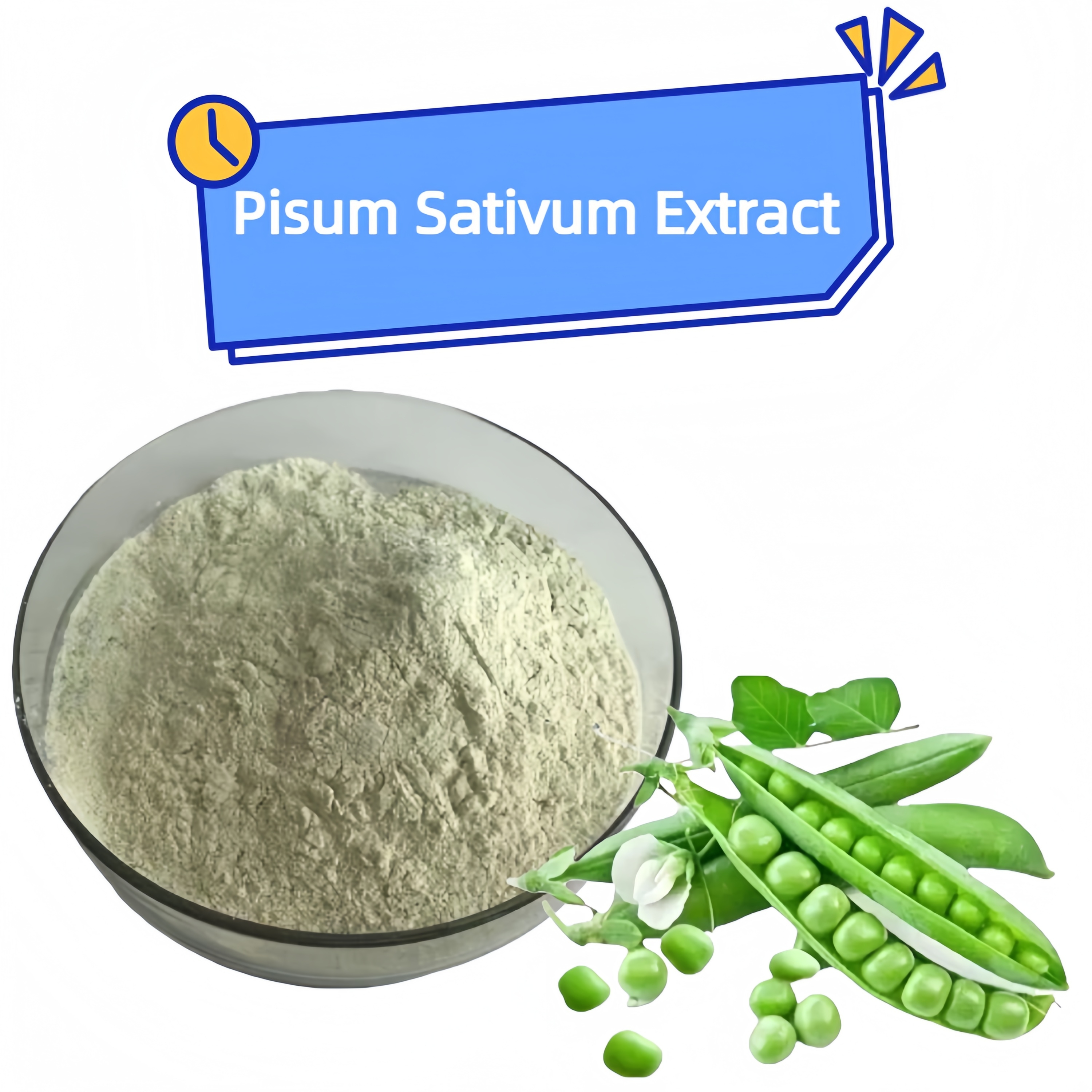 Factory Supply Wholesale Price Pisum Sativum Extract Pea Protein 80%