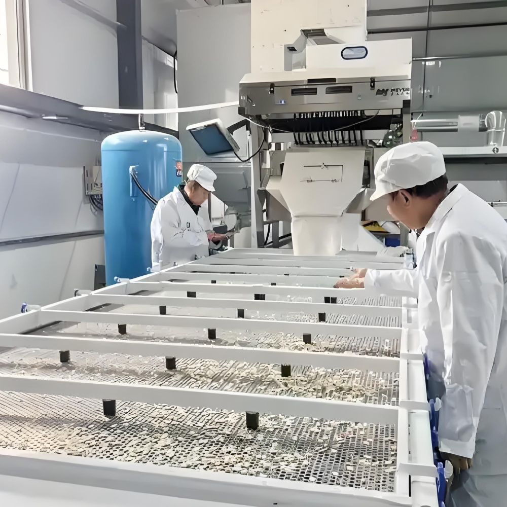 Dried Raw Pumpkin Seeds, Baking Snacks, Bread, Candy, Bulk, Green Pumpkin Seeds Factory Wholesale, High Protein Nuts