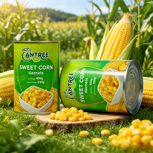 OEM ODM Ready To Eat Canned Corn Sweet Kernel For Supermarket &amp; Restaurant