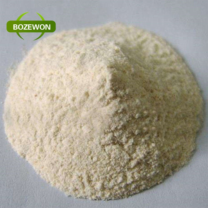 Fava Bean Protein Powder For Anti-Aging Function