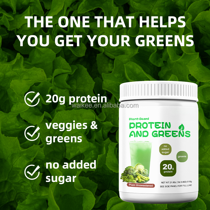 Wholesale Organic Greens Vegan Protein Powder 20g Plant Based Protein Shake Unsweetened Superfood for Daily Gut Health Diet