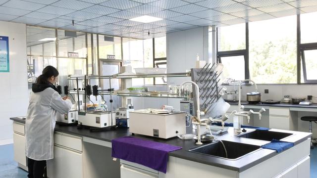 Dongguan Tsrel Biology high-capacity vegetal protein manufacturing factory floor