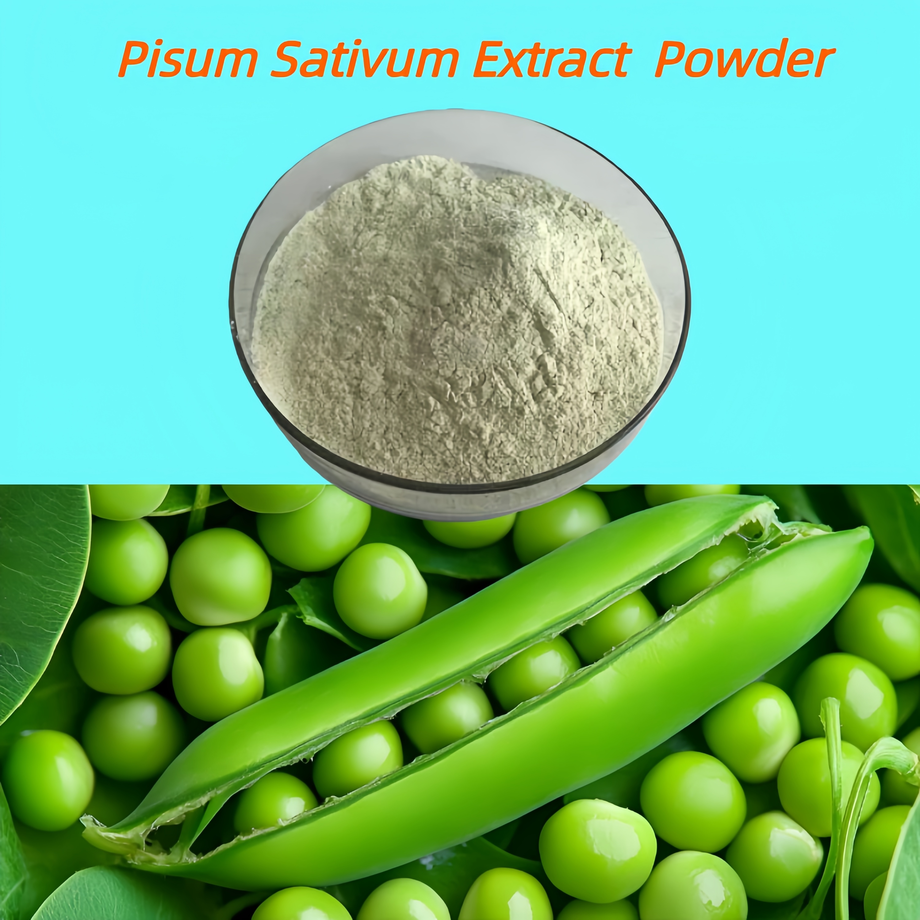 Factory Supply Wholesale Price Pisum Sativum Extract Pea Protein 80%