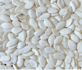 Factory Direct Supply Shine Skin Pumpkin Seed Wholesale Price Top Grade Pumpkin Seed