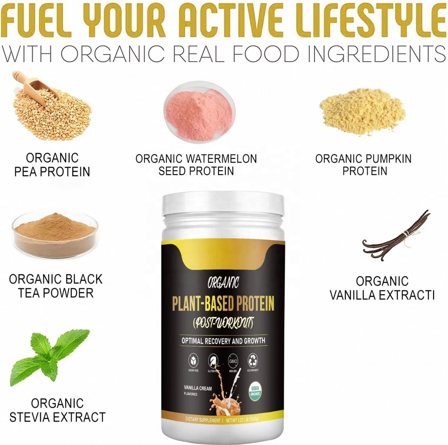 Wholesaler OEM Hot Sale Organic Plant Protein Powder Vegan for Adult Muscle Growth Diet Meal Shake 560g