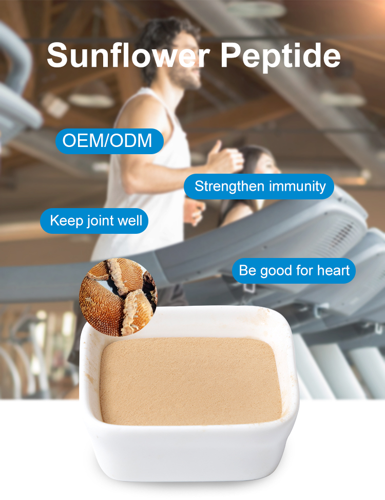 Sunflower Disc Extract Powder