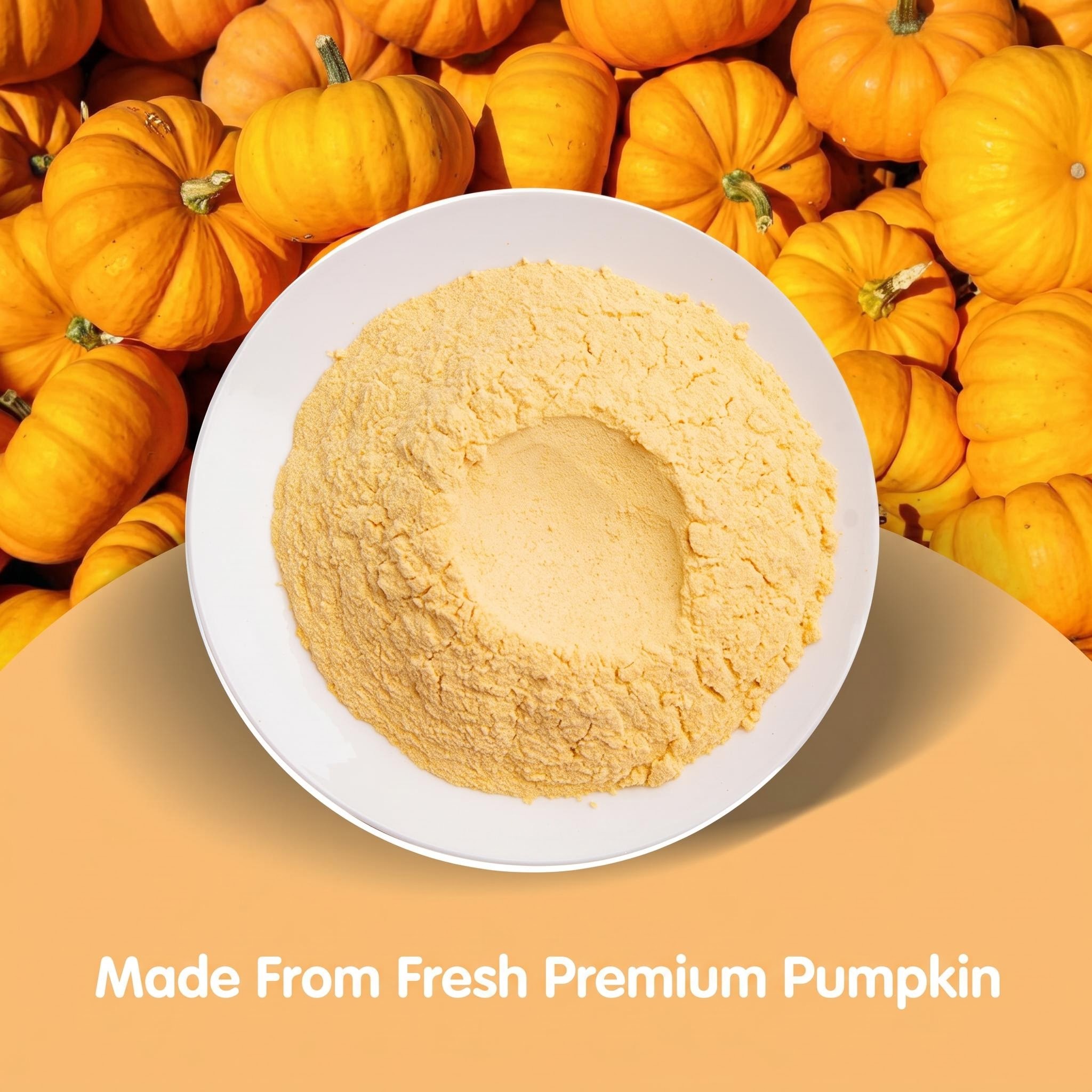 Organic Pumpkin Powder Freeze Dried Pure Natural Non GMO No Additives Fine Beverage Grade Bulk Supply Factory Direct