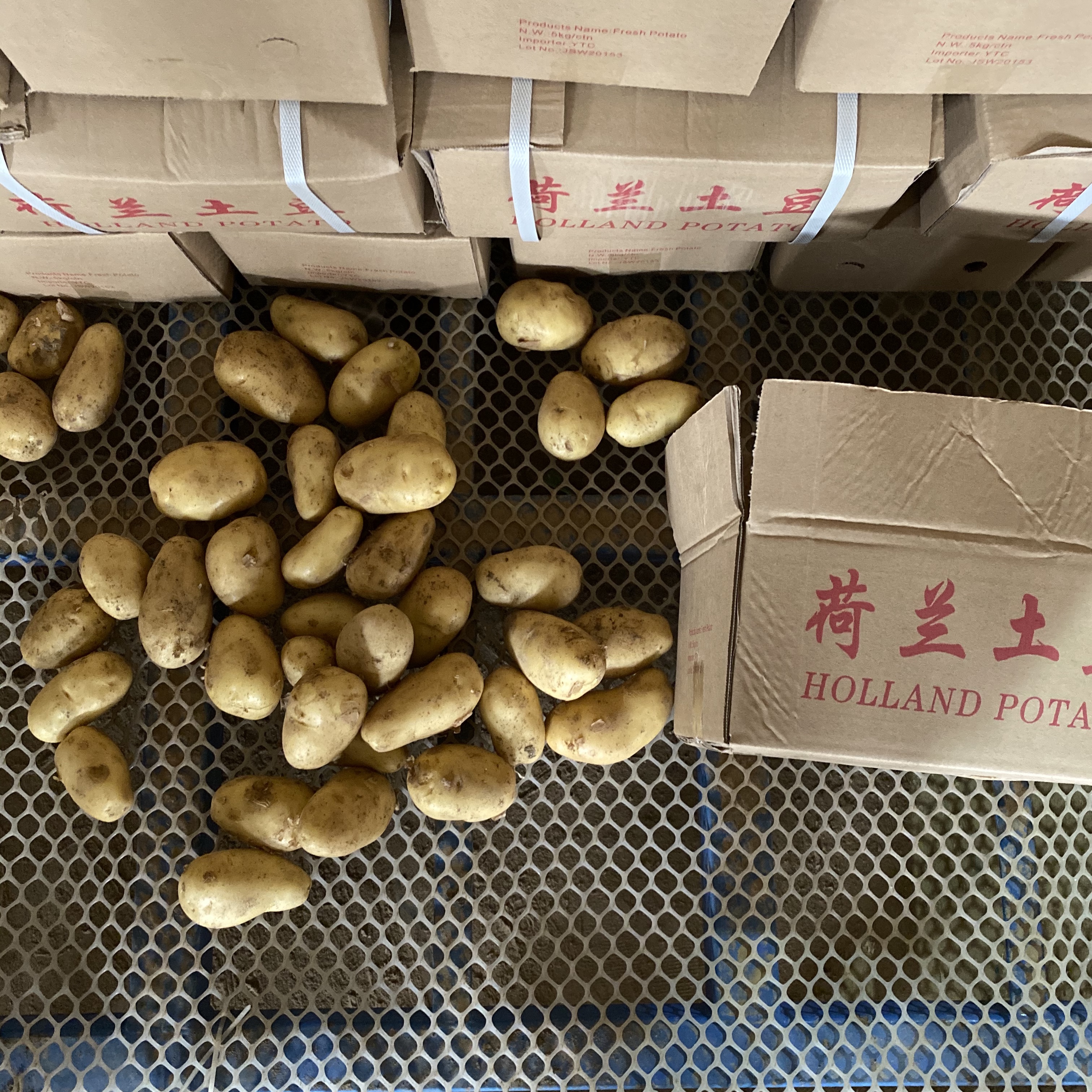Mesh Bag Packaging
