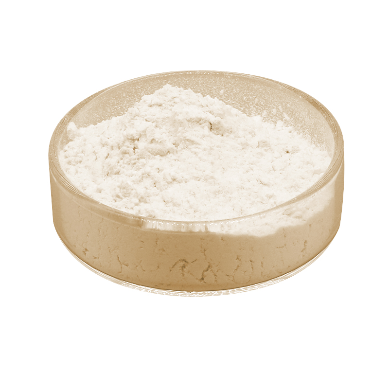 Sciencarin Supply Food Grade Hemp Seed Extract Herbal Extract 50% Solvent Extracted Protein Powder UV Tested Vacuum Packed Drum