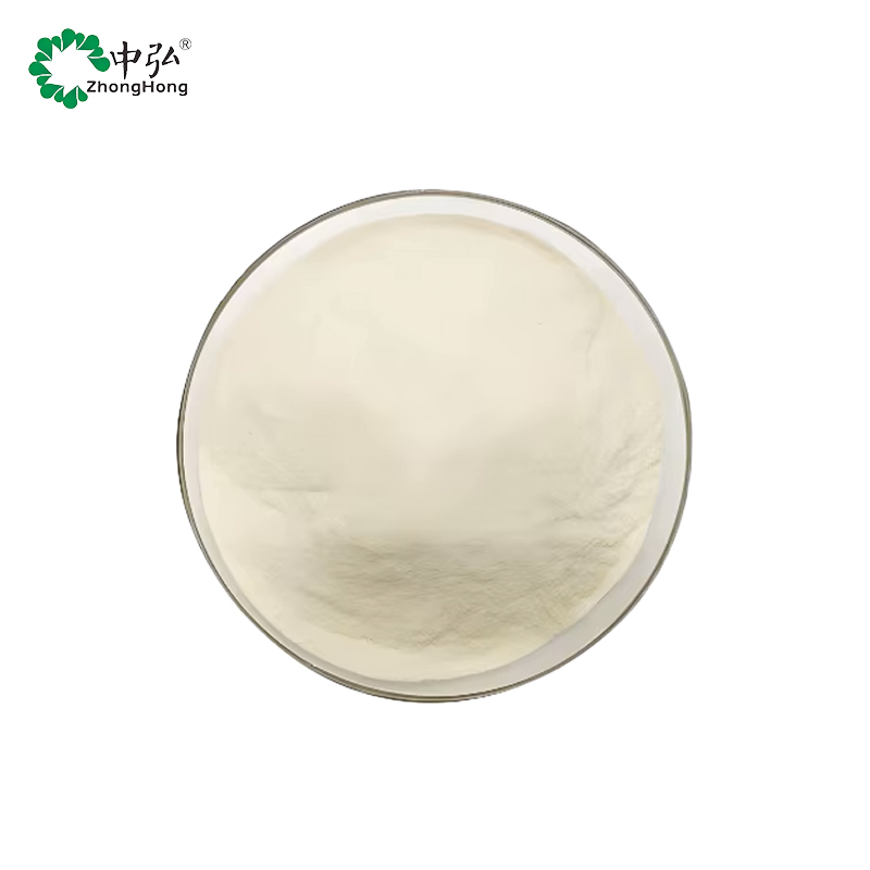 High Quality 60% Protein Pumpkin Seed Powder in Drum Packaging