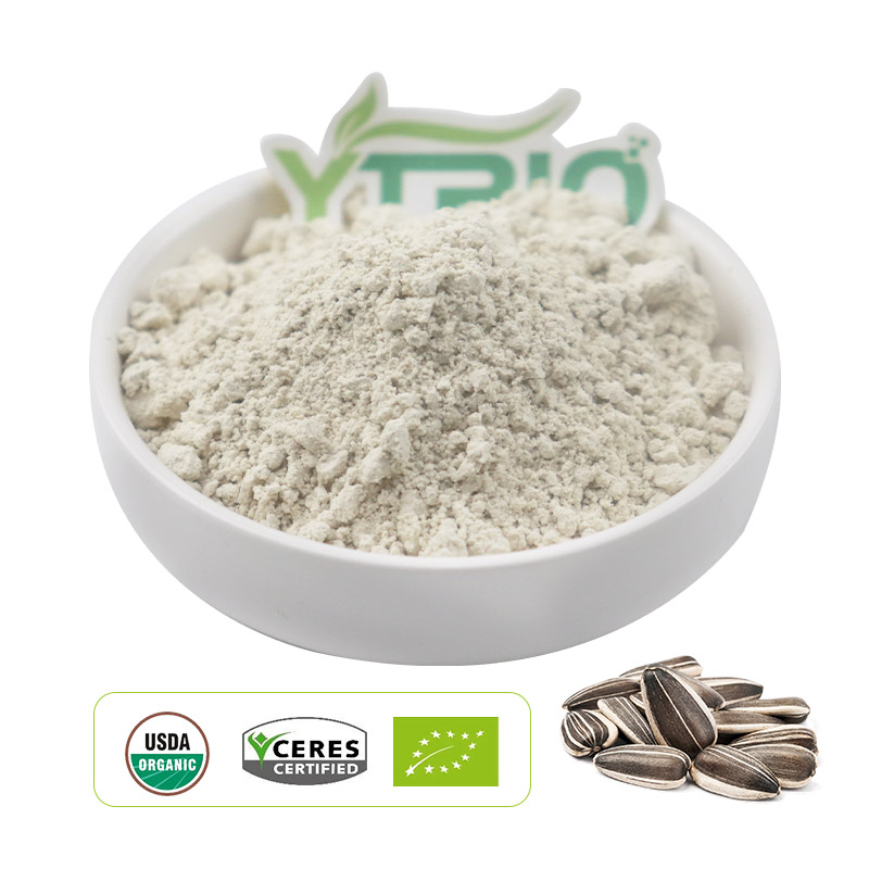 Certified Organic Sunflower Seed Protein Powder High Purity Plant-Based for Vegan Nutrition