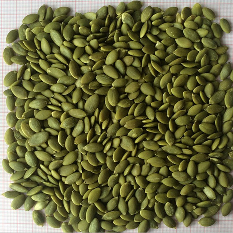 Pumpkin Seeds For Snack And Oil Extraction Uniform Size Cleaned Ready For Bulk Shipment