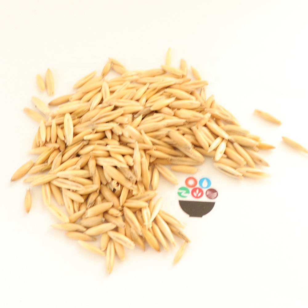 Factory Price Fats Carbohydrates and Proteins Is Perfectly Maintained Oat Grain