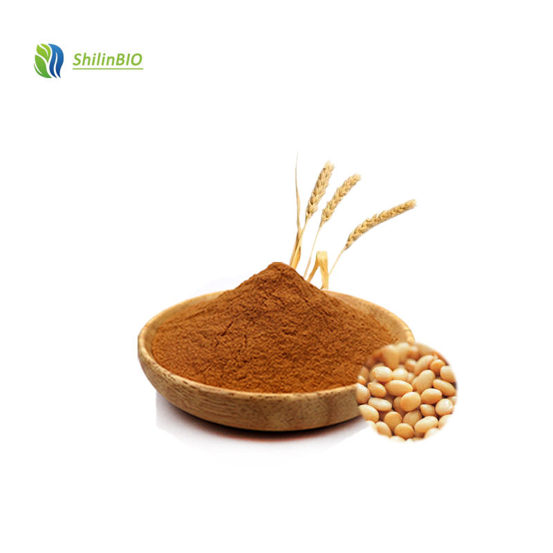 Hydrolyzed Vegetable Protein Process