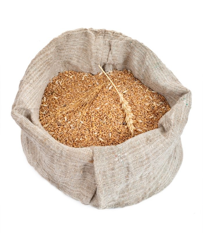 Quality Organic Durum Wheat Grains-Brown Long Grains 100% Purity 11-12% Protein Netherlands Origin