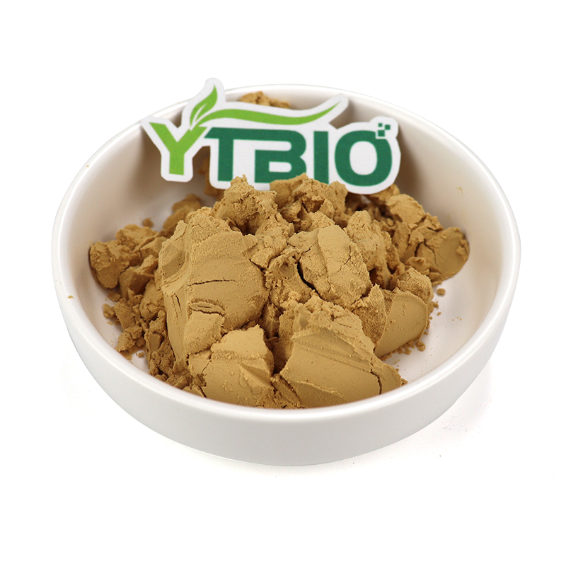 Bulk Wholesale Organic Pea Protein Powder Food Grade Plant Based Protein Supplement