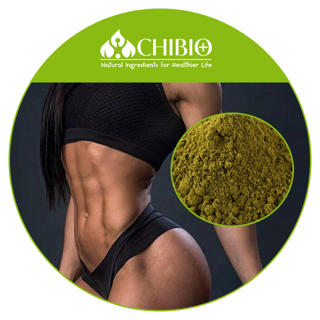 Natural Source Hemp Protein Raw Material for Food Supplement