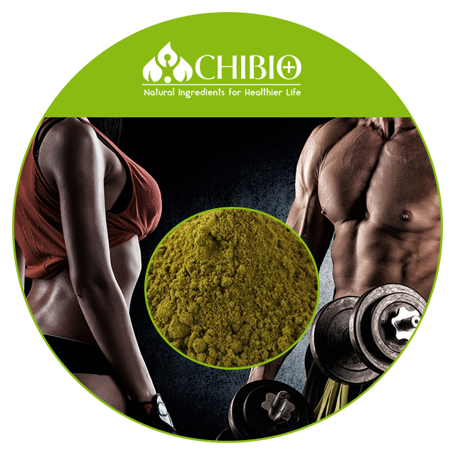 Natural Source Hemp Protein Raw Material for Food Supplement