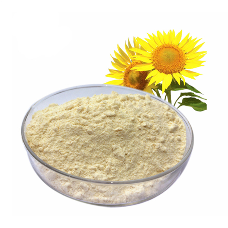 Golden Supplier Hulled Sunflower Protein Powder 60% Plant-based Sunflower Protein for Baby Food Sunflower Kernal Protein 60%
