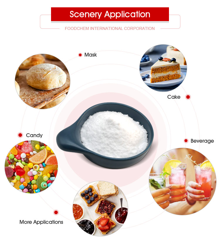 Soy Protein Application Example 1