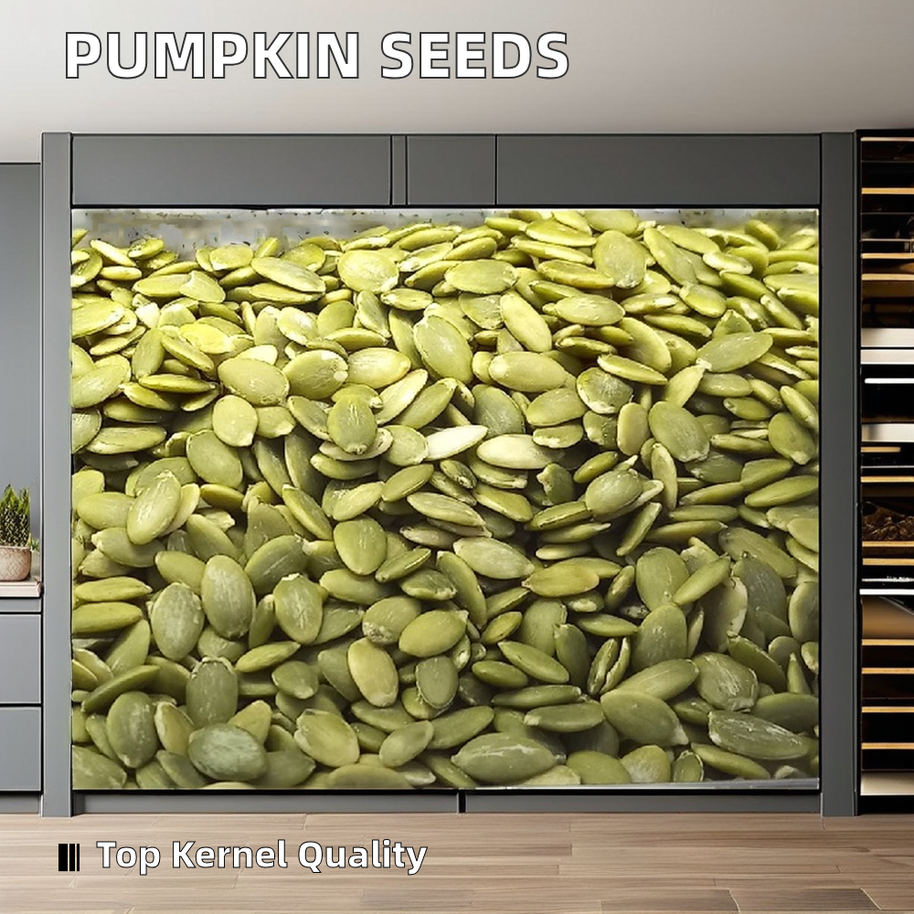 Best Quality Premium Dried Pumpkin Seeds Bulk Wholesale Cheap Price Grade A 25kg Newest Crop Certified