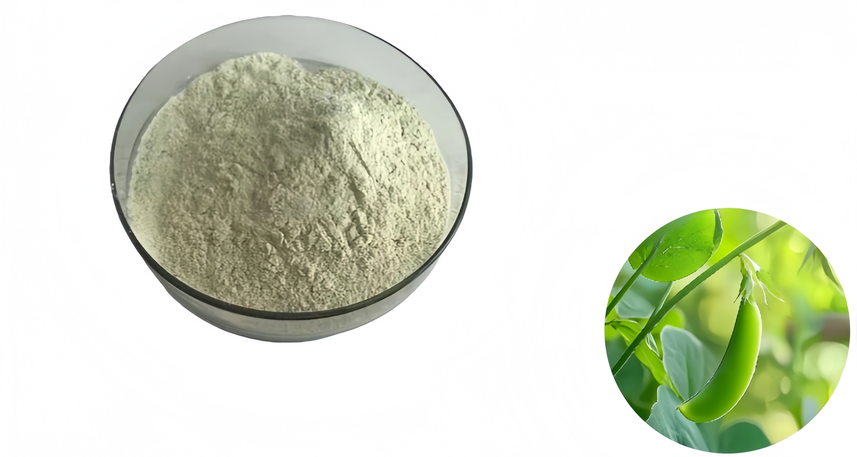 Pea Protein Application