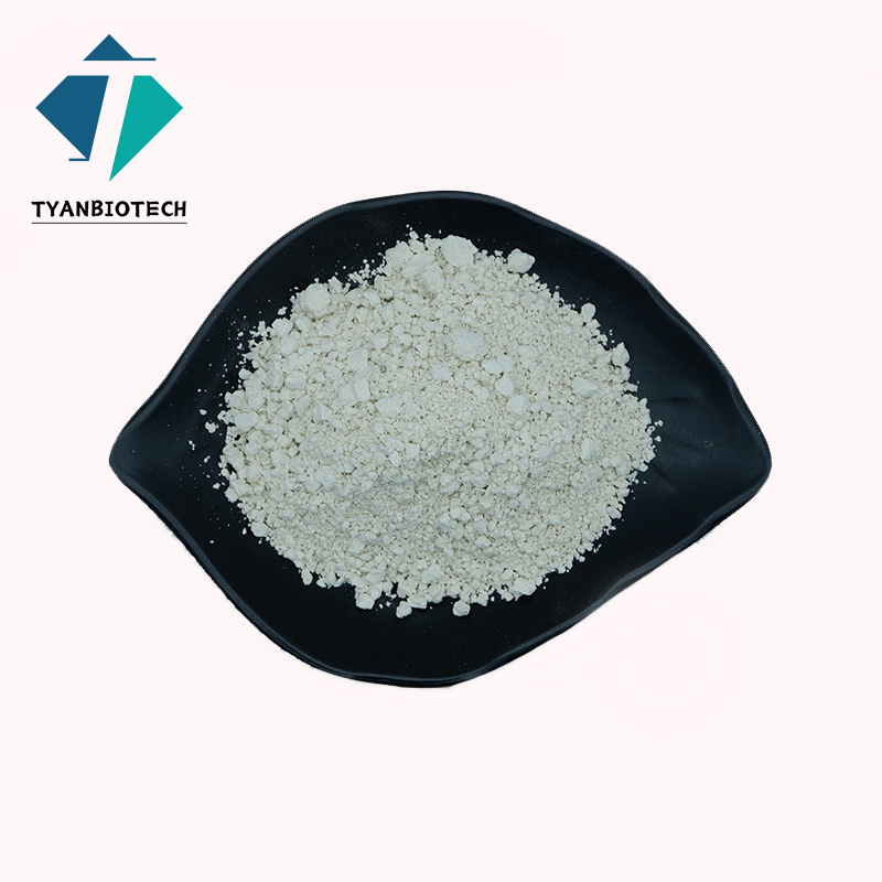 Hydrolyzed Rice Protein Production