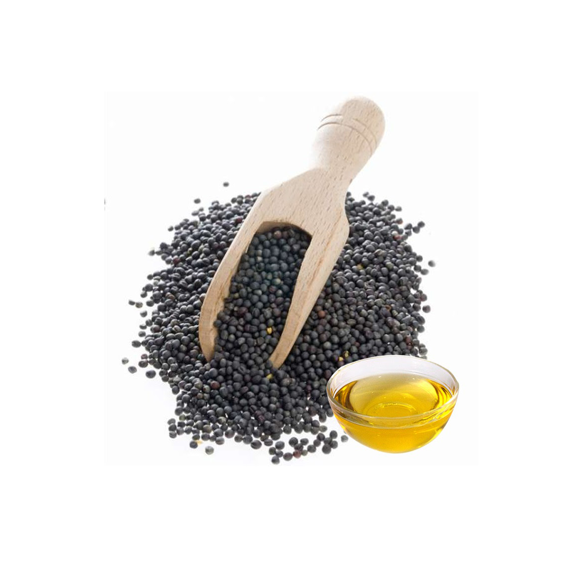 Canola Seeds Dried Healthy Food Grain for Oil Production From Belgium with 24 Months Shelf Life