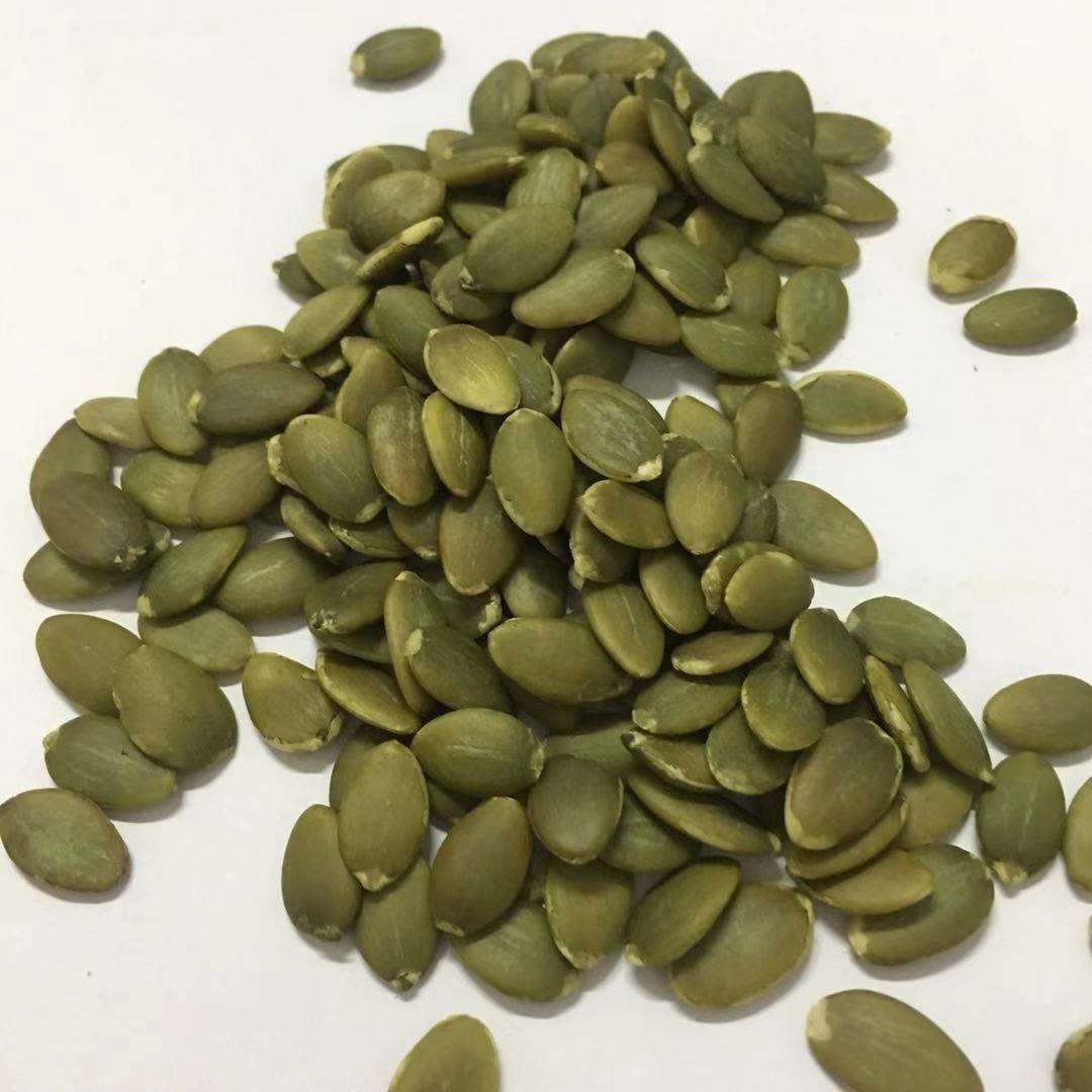 High-Protein Raw Pumpkin Kernel Bulk