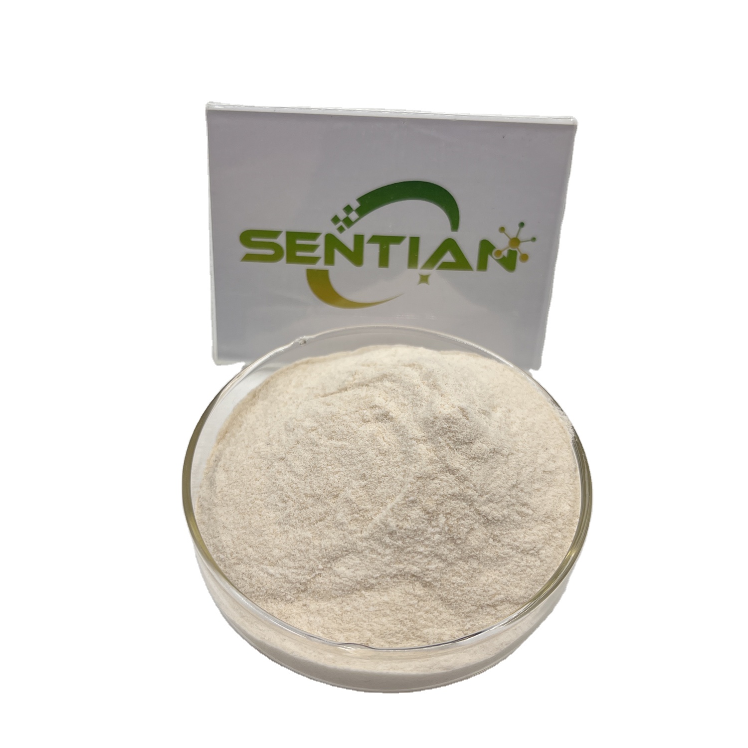 High Quality Chickpea Protein Powder 70% Good Solubility with best price Protein Powder