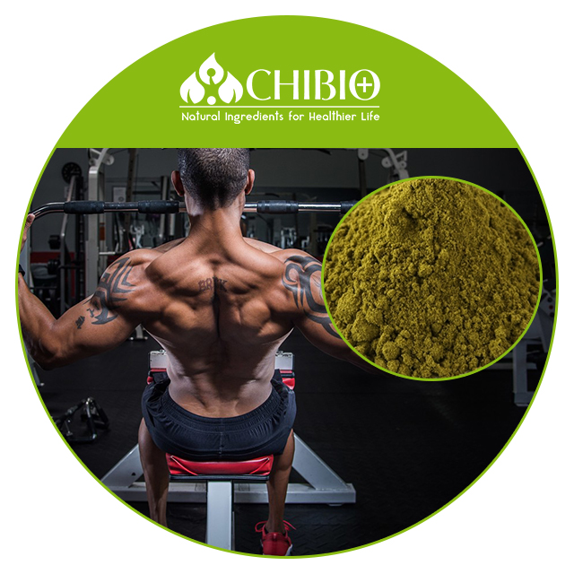 Natural Source Hemp Protein Raw Material for Food Supplement