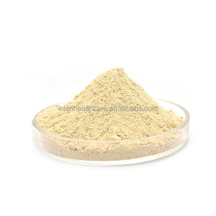 Wheat extract powder product details