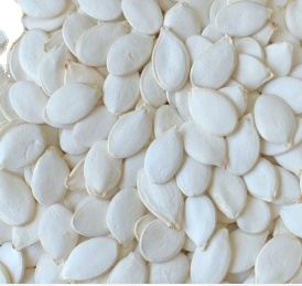 Factory Direct Supply Shine Skin Pumpkin Seed Wholesale Price Top Grade Pumpkin Seed