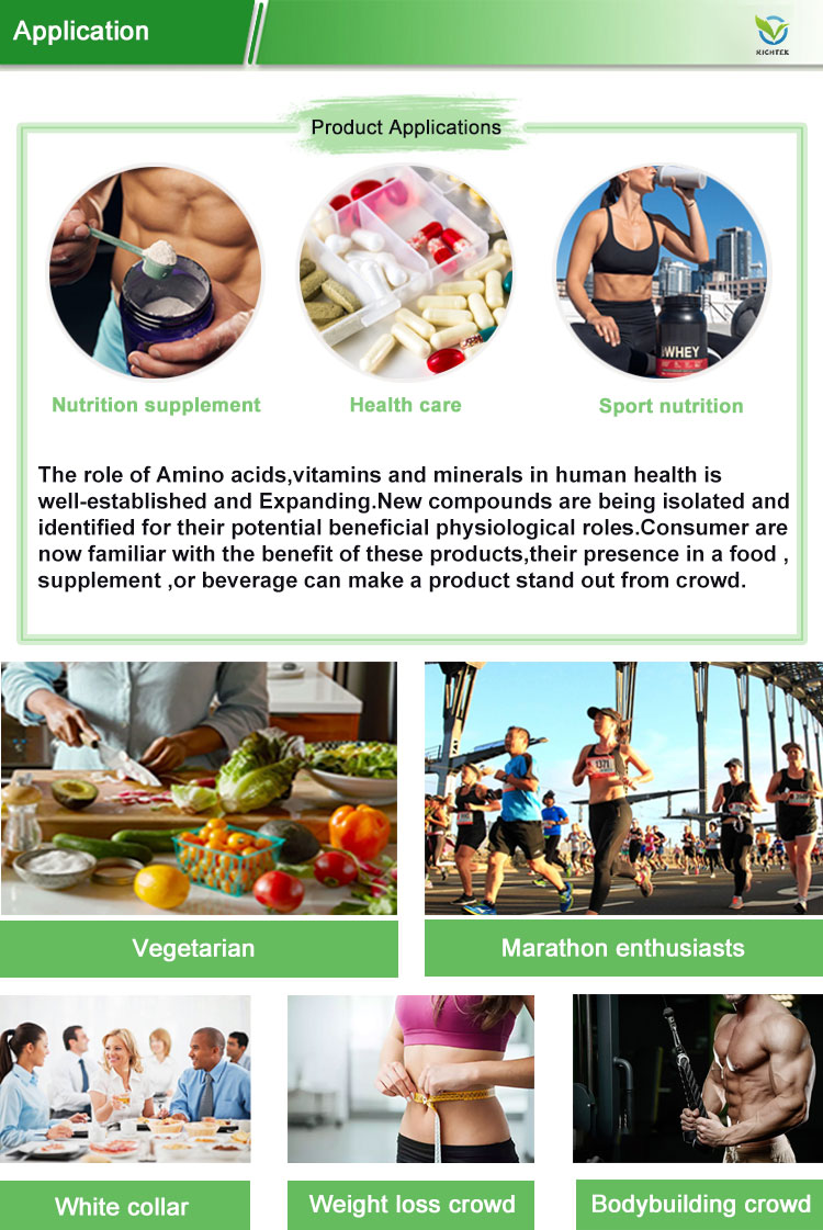 Custom Sports Nutrition Clear Protein Vegan Meal Replacement Shake Rice & Pea Protein Low Carb Protein Powder