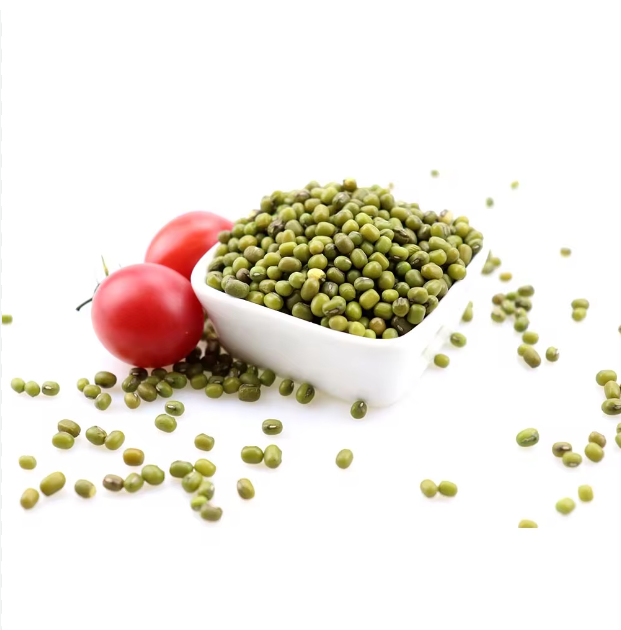 Premium Quality Organic Green Mung Beans High Protein Delicious Flavor Whole 10kg in Stock Fresh Harvest with Fast Delivery