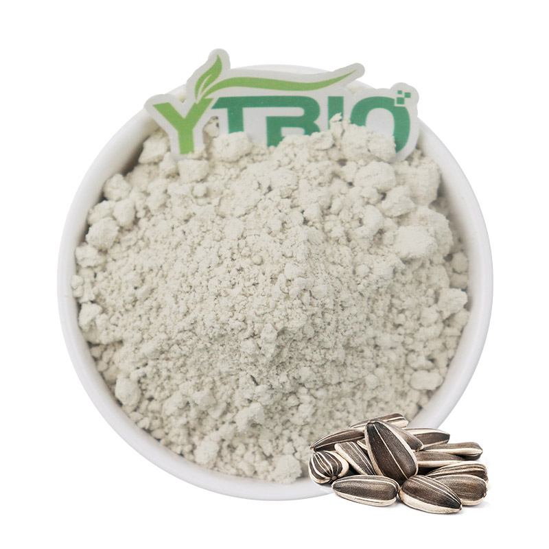 Certified Organic Sunflower Seed Protein Powder High Purity Plant-Based for Vegan Nutrition