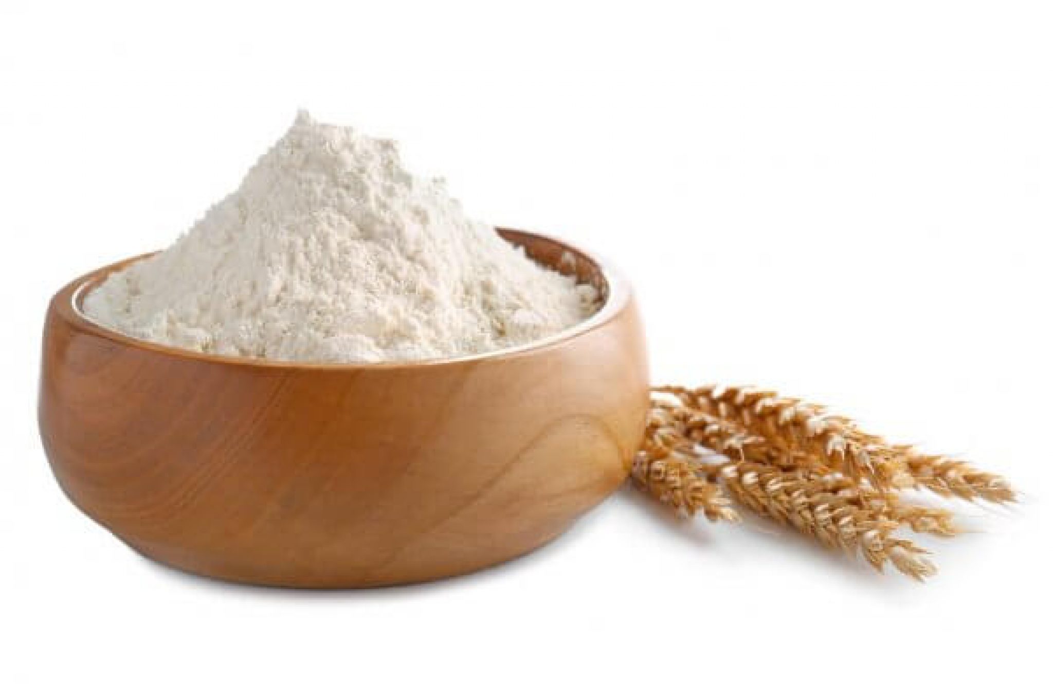 Oat Protein Powder Banner