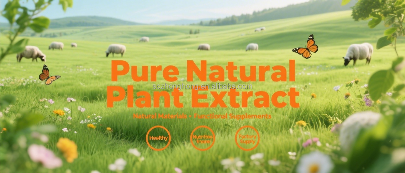 Soy Protein Header Banner