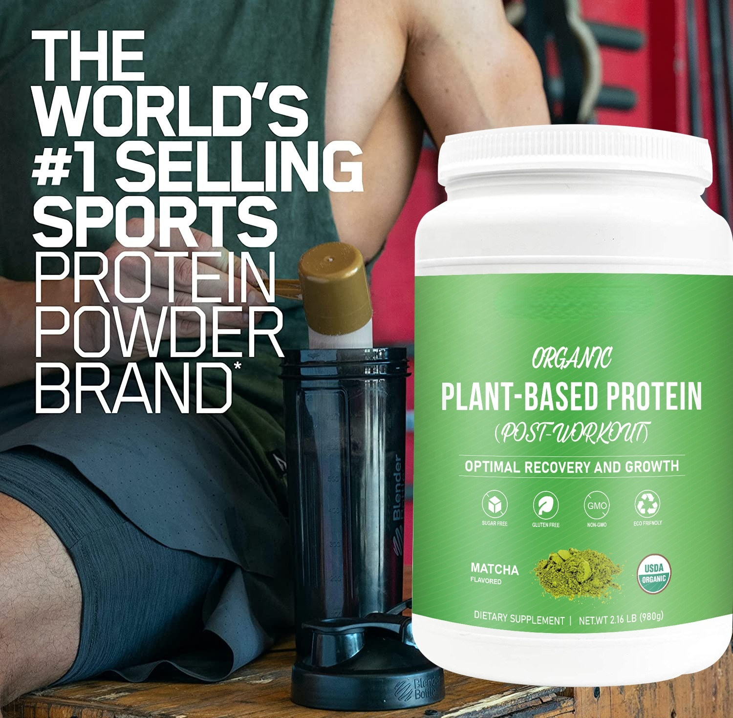 Private Label Organic Matcha Flavor Sugar-Free Plant Based Protein Powder for Trainer Post-Workout Energy Muscle Building
