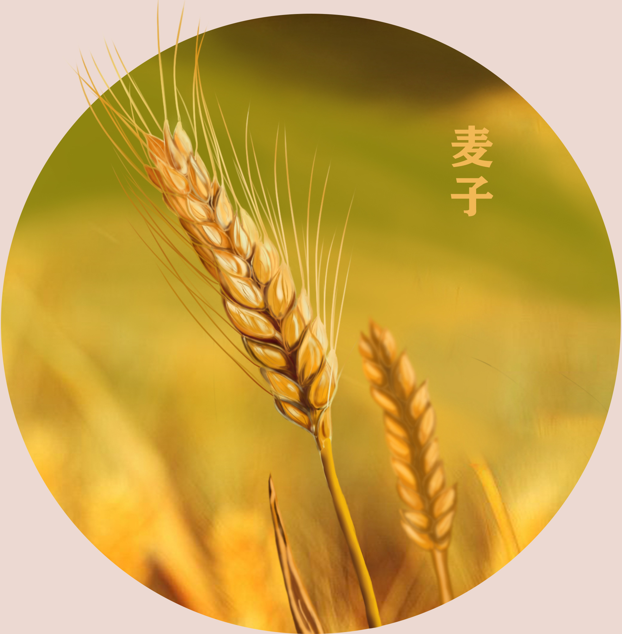 Wheat peptide explanation