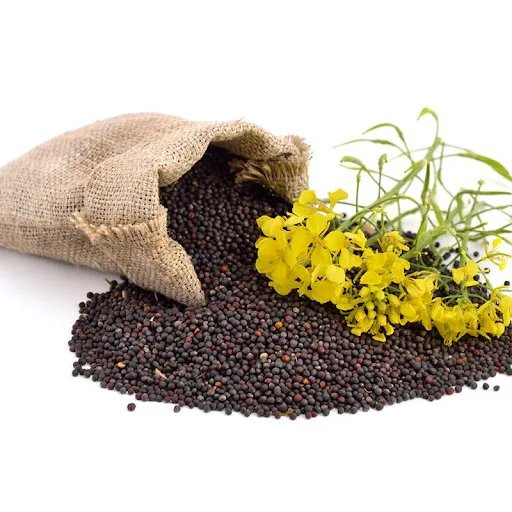 Canola Seeds Dried Healthy Food Grain for Oil Production From Belgium with 24 Months Shelf Life