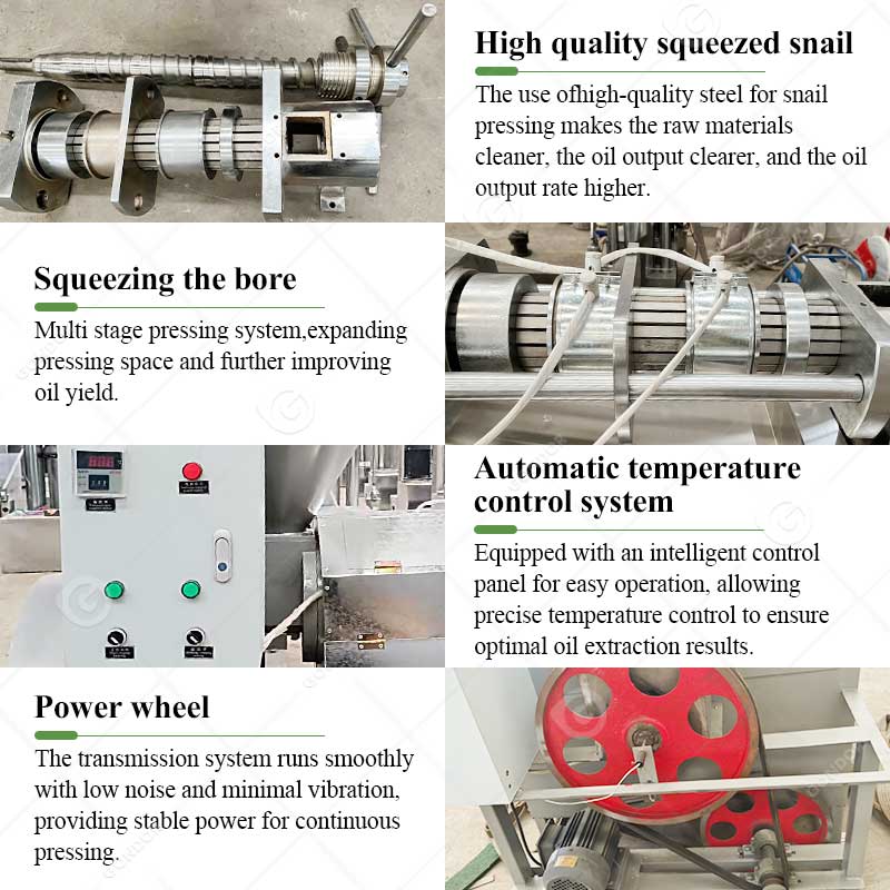 Soyabean Oil Production Make Tanzania Canola Soybean Vegetable Palm Sunflower Pressing Extraction Machine for Seed