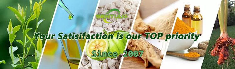 Rice Protein Banner