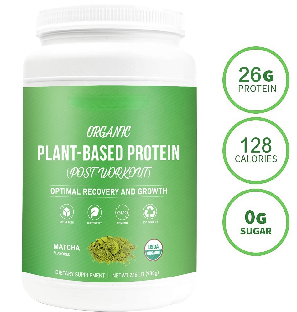 Private Label Organic Matcha Flavor Sugar-Free Plant Based Protein Powder for Trainer Post-Workout Energy Muscle Building
