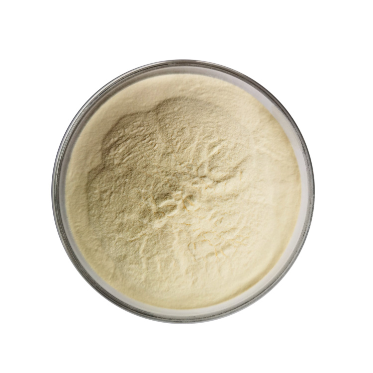 Food Grade Textured Soy Protein