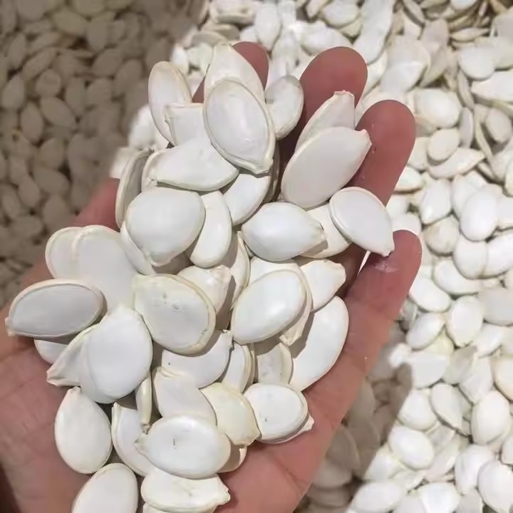Shine Skin Pumpkin Seed