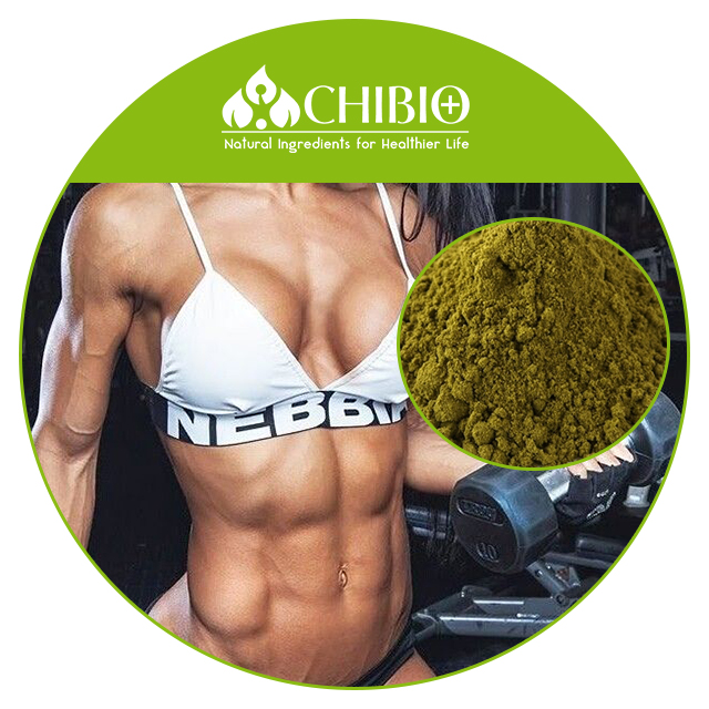 Natural Source Hemp Protein Raw Material for Food Supplement